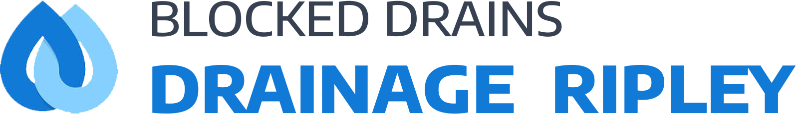website logo